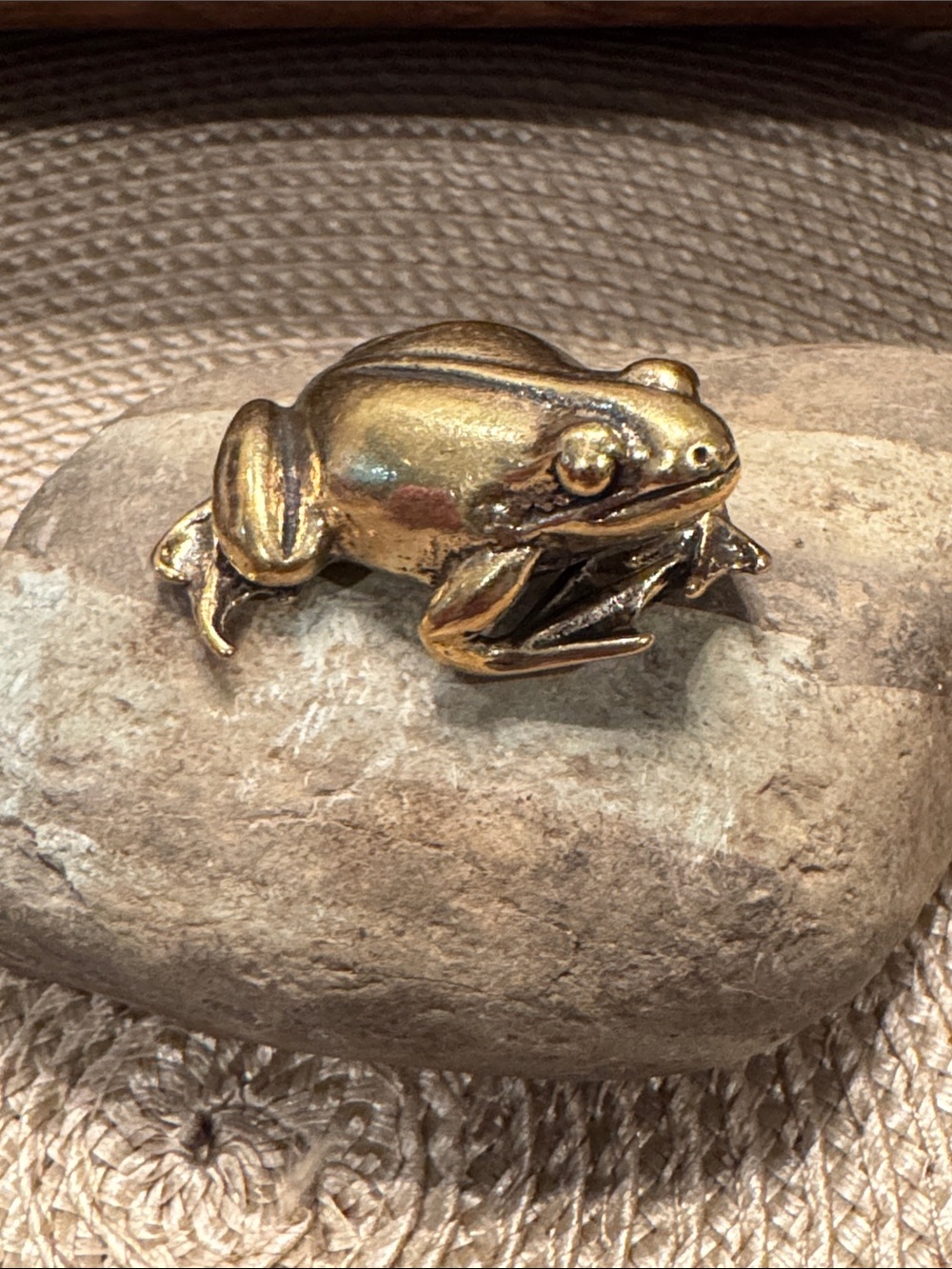 Brass Frog Décor Accent